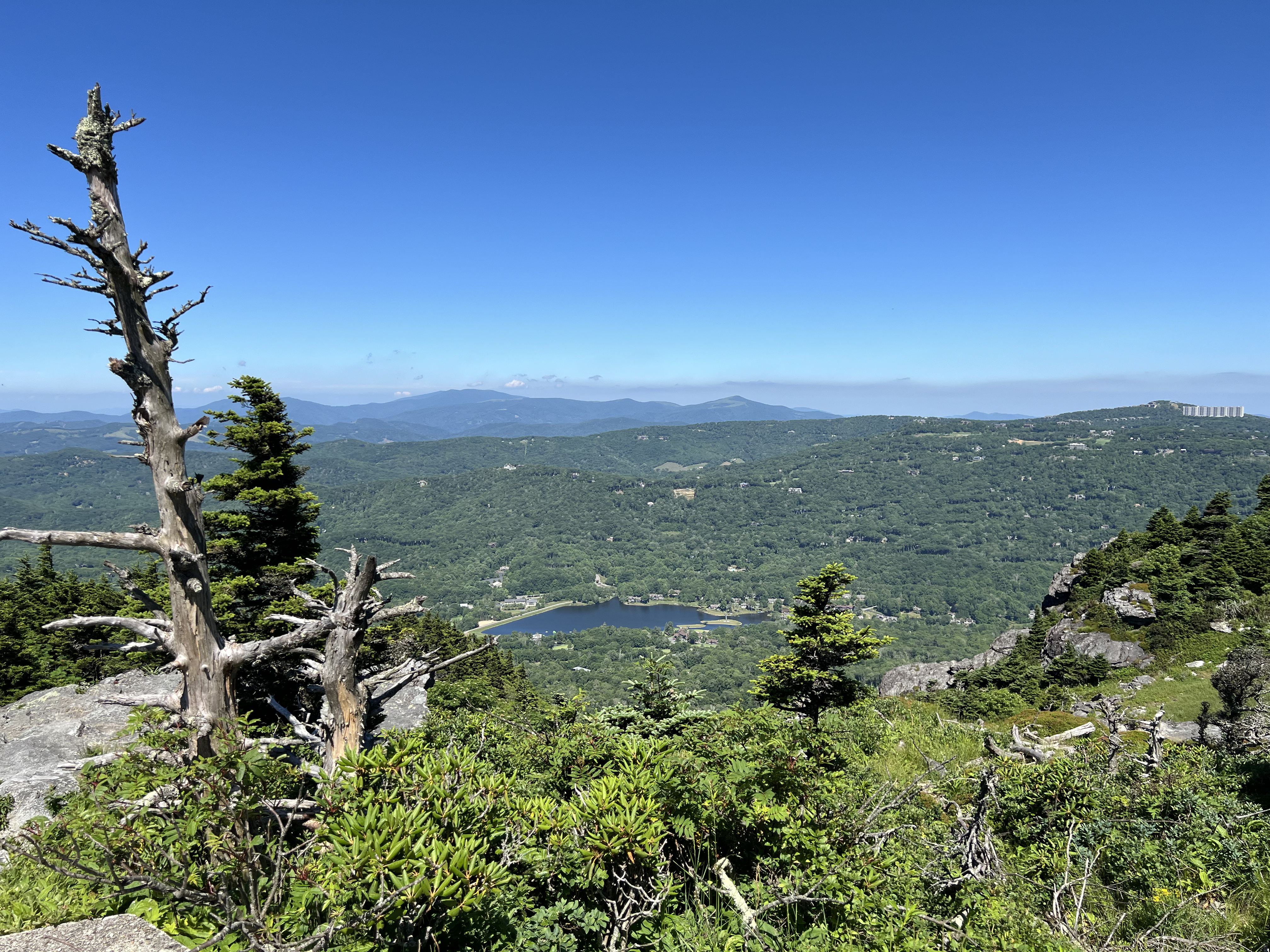 ./2024/08 - Banner Elk/Grandfather Mountain/IMG_1872.jpg